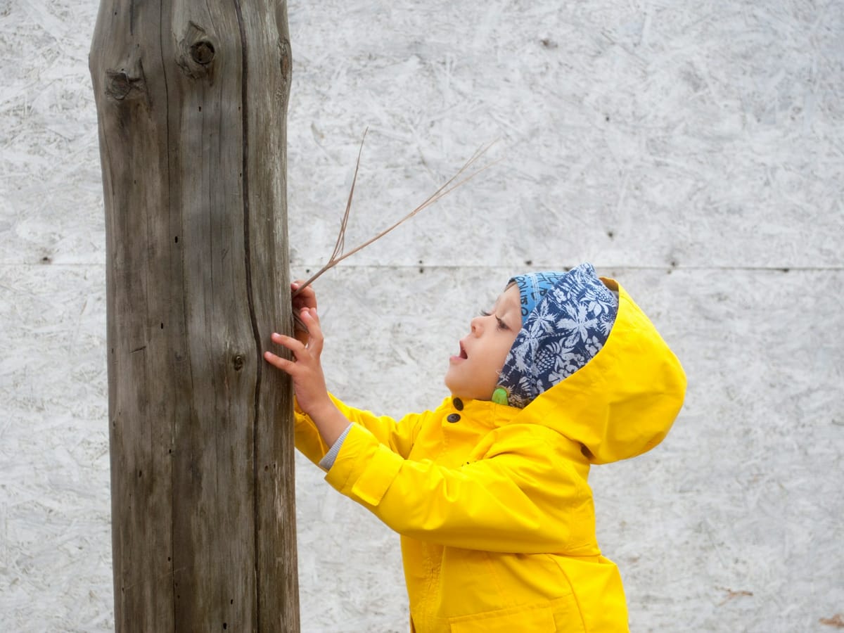 Child in a yellow raincoat playing outdoors by a tree trunk